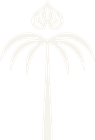 Black Orchid Oasis