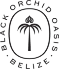 Black Orchid Oasis