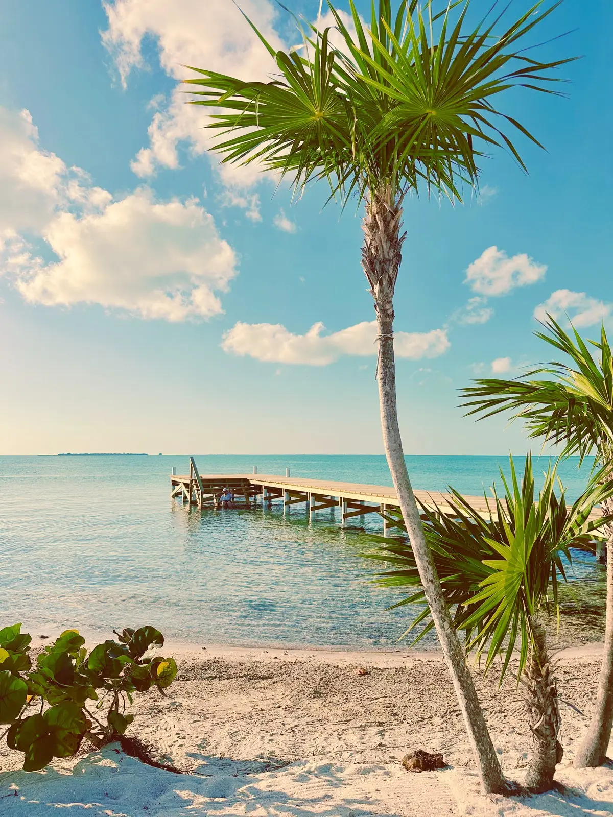 Luxury beachfront villa infinity pool with lounge chairs overlooking the ocean at Black Orchid Oasis, San Pedro Belize.